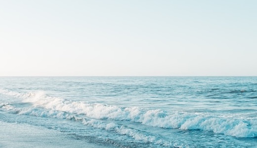 これはテスト投稿です。